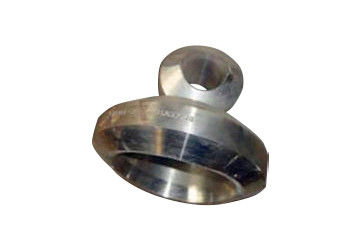 ANSI Socket Weld Pipe Fitting Pipa Weldolet Alloy